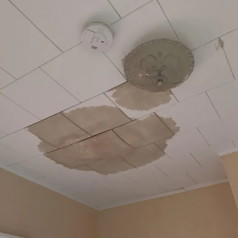 Ceiling Water Damage Repair in Woodcrest, CA
